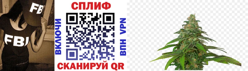 Купить закладку Радужный Канабис  Псилоцибиновые грибы  ГАШ  Кокаин 