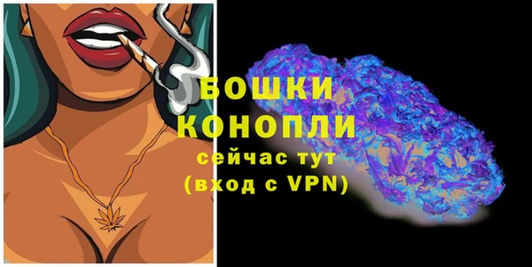мдпв Надым