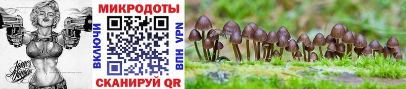 даркнет сайт  Радужный  Галлюциногенные грибы MAGIC MUSHROOMS 